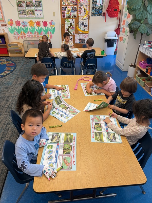 Preschool worksheet activity